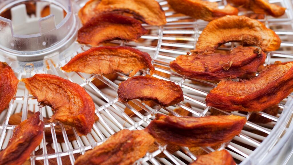 Closeup shot of food slices on a food dehydrator.