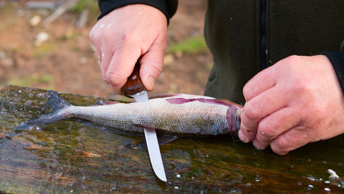 A person running through a fillet knife through a fish on a wooden chopping board.