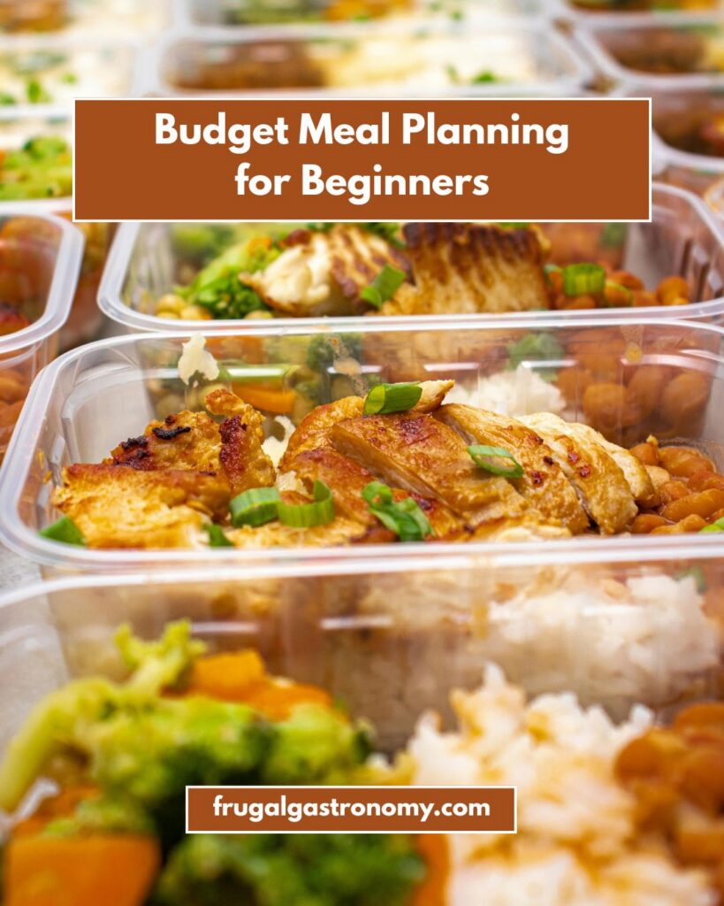 Focus shot of individually packed meals made of chicken and vegetables prepared by budget meal planning.