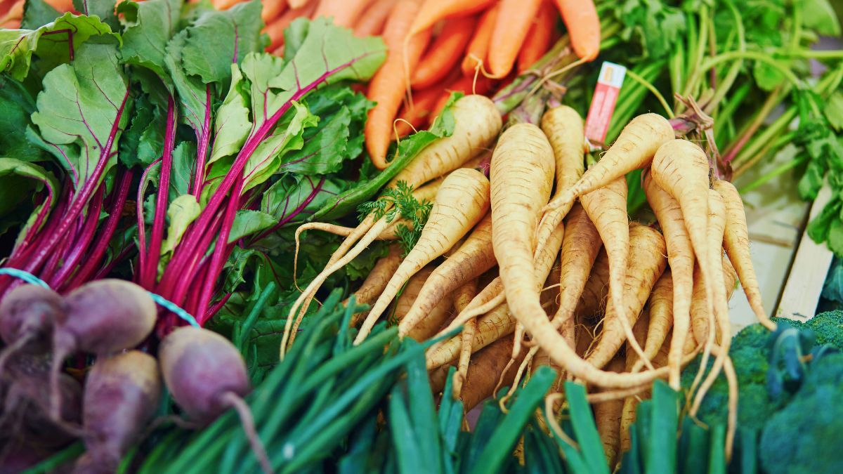 Closeup shot of root vegetables such as carrots, parsnips, and beets.