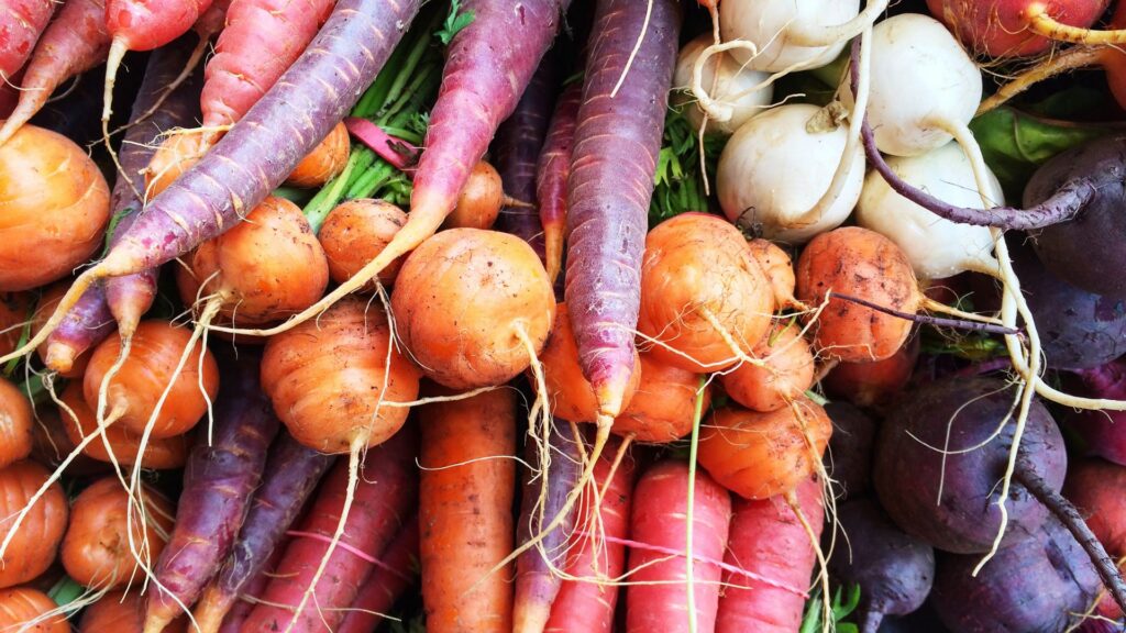 Closeup shot of a pile of assorted root vegetables.