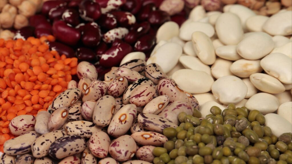 Closeup shot of an assortment of beans.