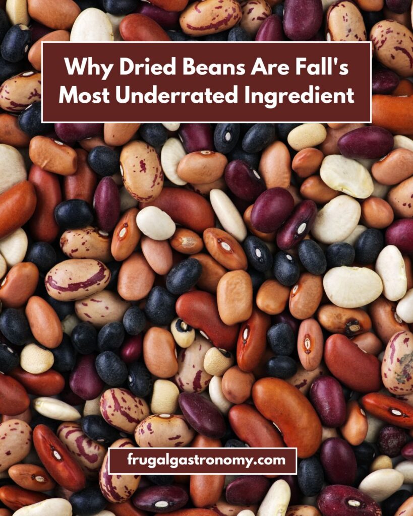 Closeup shot of a mix of dried beans.