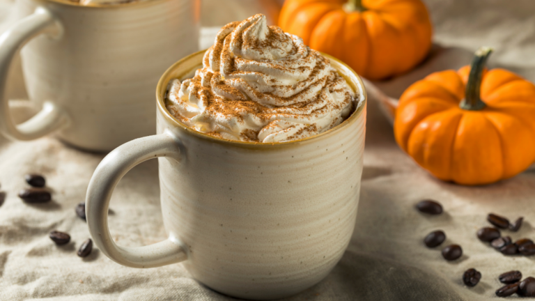 A mug of latte with whipped cream with mini pumpkins beside it.