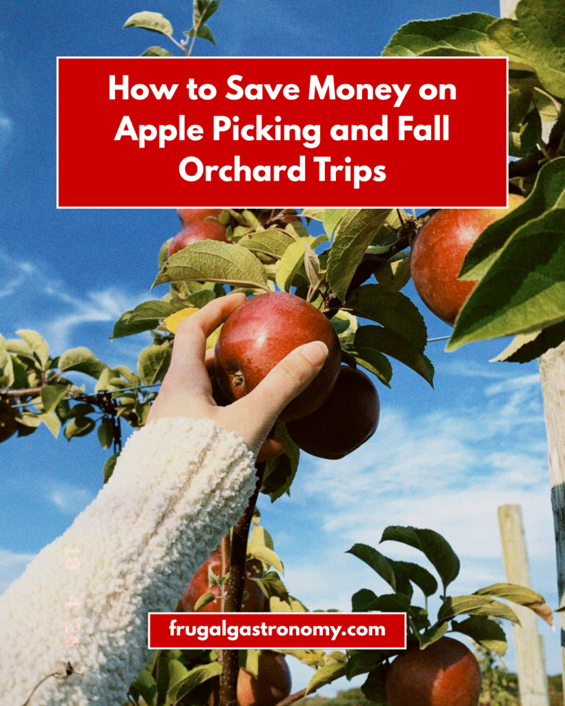 A hand plucking an apple from a tree in an orchard, during daytime.