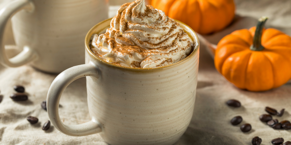 A mug of latte with whipped cream with mini pumpkins beside it.