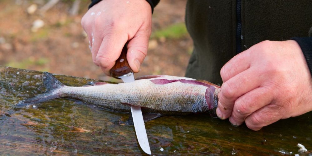 A person running through a fillet knife through a fish on a wooden chopping board.
